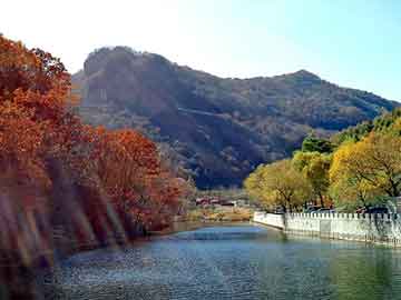 新澳天天开奖资料大全旅游团，百公里油耗计算